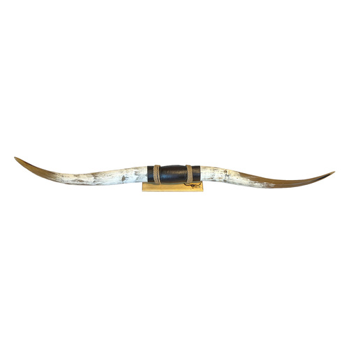 DECORATIVE FINISHED BULLOCK HORN #36