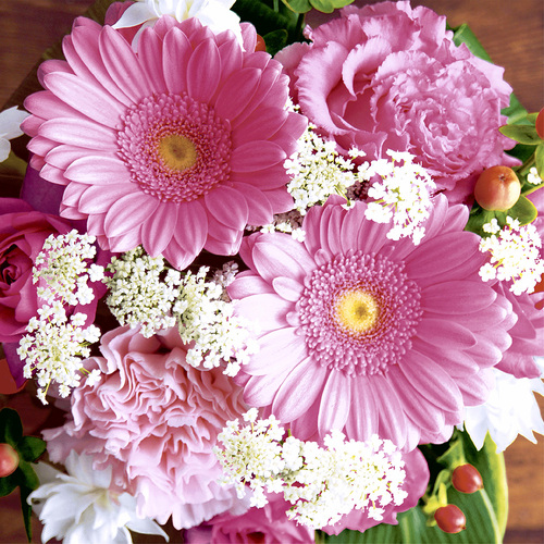 LUNCHEON -Pink Gerbera