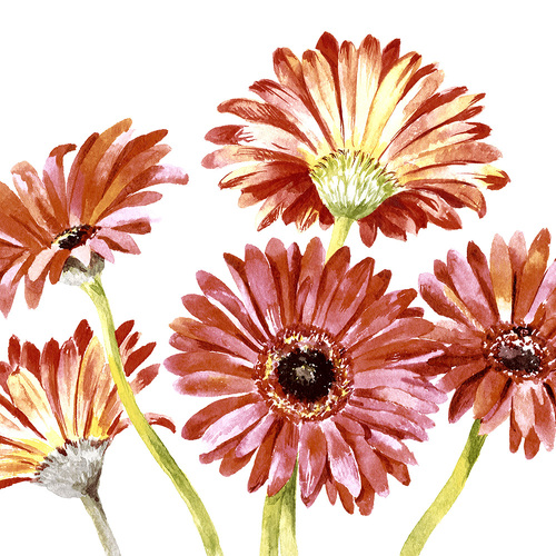 LUNCHEON - Gerbera art