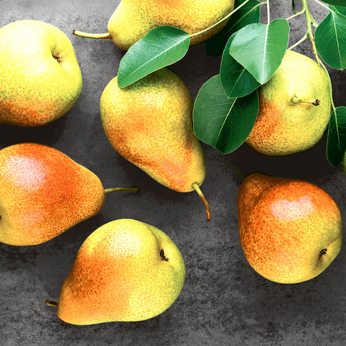 LUNCHEON - Fresh Pears