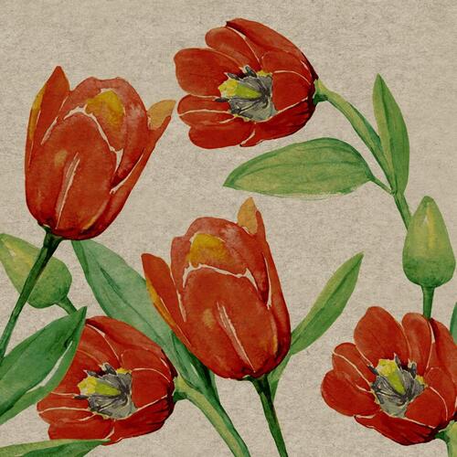 LUNCHEON - Natural Tulips